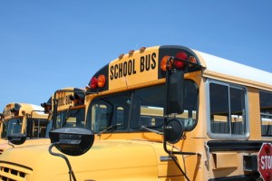 "bus